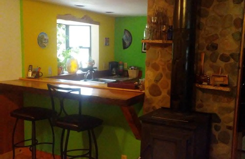 Ashford Cabin | Close to Mt. Rainier. AC in the summer Wood stove for Emergency heat & cooking.