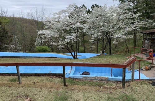 Cassville Cabin | Close to Pool Cabin Getaway-Cabin 5