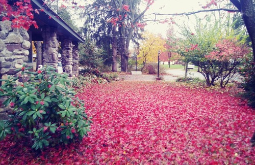 Belle Mead House | Close to Princeton,Rutgers, WiFi,No Clean Fee 1-3 guests ,Free laundry in house.