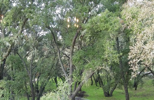 Paso Robles House | Close to town, but feels a world away! Beautiful house with all the amenities!