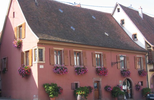 Pfaffenheim Apartment | Close to "villages classés préférés" on the Alsace wine route, in a peaceful setting