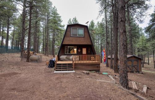 Williams House | Close to Williams, Flagstaff, Grand Canyon and Sedona