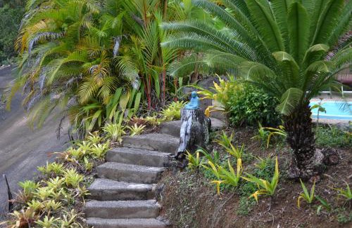 Daintree House | Cloud 9