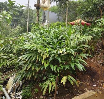 Vagamon House | CLOUD HUG'S COUPLES STAY Rooms Vagamon