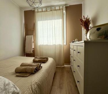 Hincmar Apartment | Clovis - Hypercentre avec balcon et parking