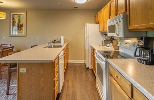 Lake Delton Condo | Club Wyndham Tamarack - Spacious 1 Bedroom