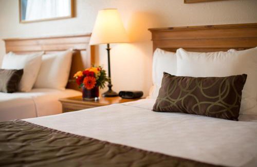 Anchorage Hotel | Coast Inn at Lake Hood