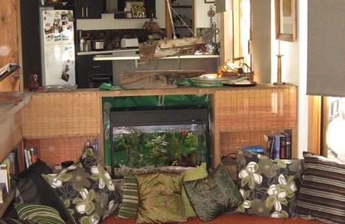 Cape Woolamai House | Coastal Art House