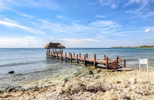 Akumal Apartment | Coastal Paradise in South Akumal