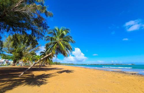 Zarzal Apartment | Coastal Puerto Rican Apartment - Walk to Beach!