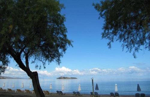 Petra House | COASTLINE