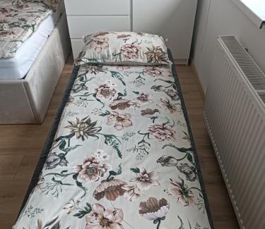 Ljubljana City Centre Apartment | CoCo Apartment
