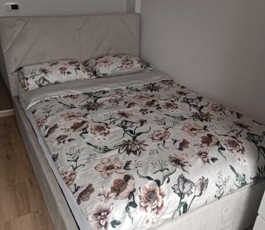 Ljubljana City Centre Apartment | CoCo Apartment