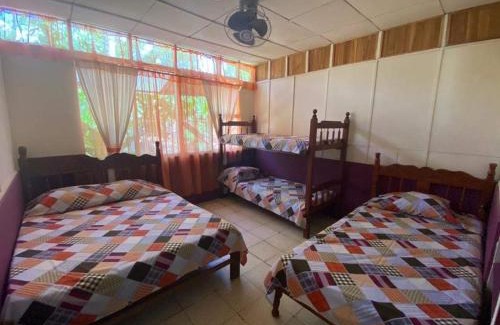 Coco Bed & Breakfast | Coco verde