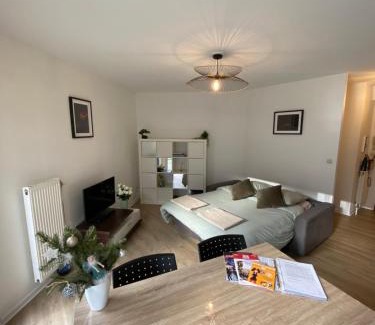Horbourg-Wihr Apartment | Cocon au cœur de l'Alsace