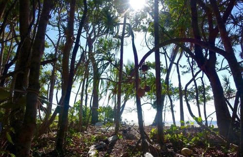 Cape Tribulation House | Coconut Beach House