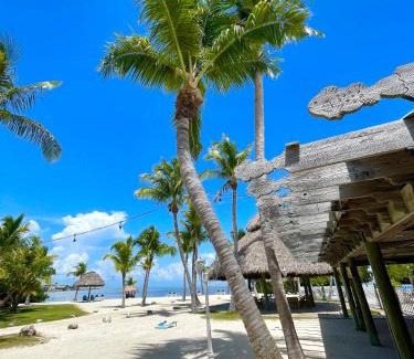 Islamorada Hotel | Coconut Cove Resort & Marina