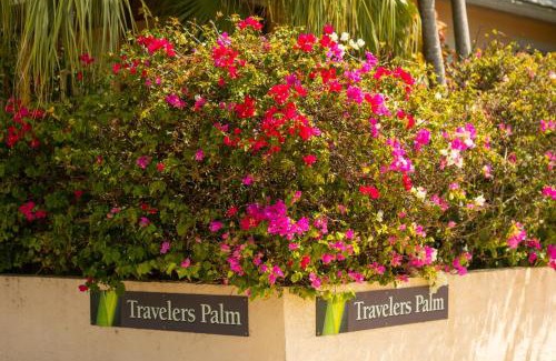 Old Town House | COCONUT PALM STUDIO at Travelers Palm Inn Key West