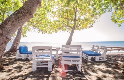 Sabana Palenque Apartment | Coconut Paradise Beach Hotel