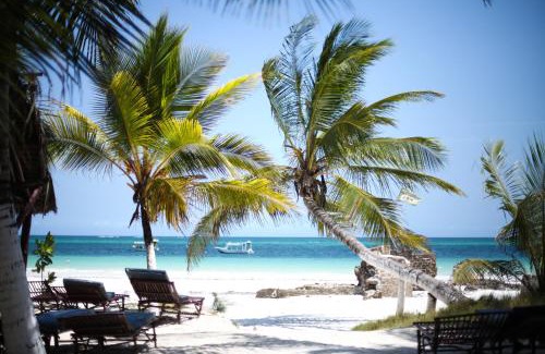 Galu Beach Apartment | Coconut Village Beach Resort
