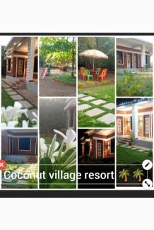 Alibaug House | Coconut Village Resort
