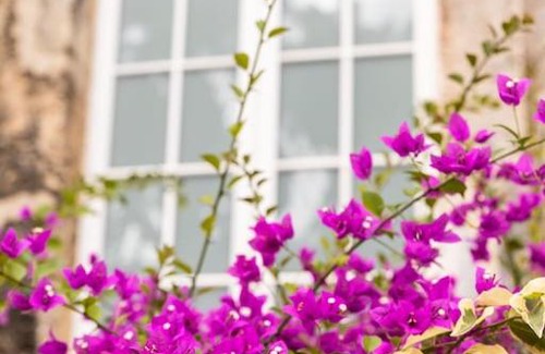Small Hope Apartment | Codrington College