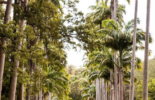 Small Hope Apartment | Codrington College