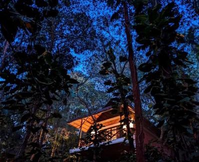 Subhash Nagar Resort | Coffee Acres Resort