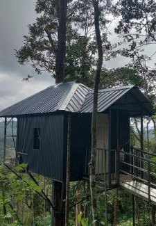 Udumbanchola Villa | Coffee Camp Home Stay with Tree house