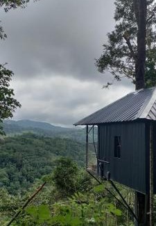 Udumbanchola Villa | Coffee Camp Home Stay with Tree house