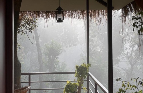 Mananthavady Resort | Coffee Cradle Wayanad Luxuorios Private Tree House - Inside 2 Acre Coffee Plantation
