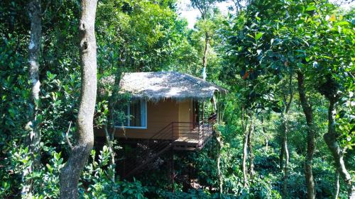 Mananthavady Resort | Coffee Cradle Wayanad Luxuorios Private Tree House - Inside 2 Acre Coffee Plantation