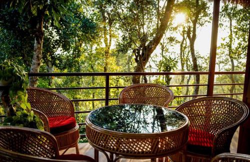 Mananthavady Resort | Coffee Cradle Wayanad Luxuorios Private Tree House - Inside 2 Acre Coffee Plantation