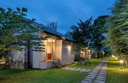 Vayittiri Resort | Coffee Greens Resort