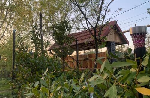 Tsqaltubo House | Colchis Guest House