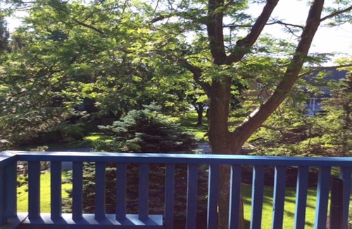 Collingwood Condo | Collingwood beauty. 3B/2.5 bath in Rupert's Landing, 2nd floor 2 story condo.