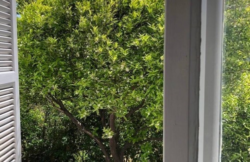 Nicosia House | Colonial house in Ayios Andreas, Nicosia
