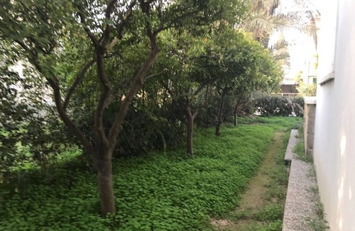 Nicosia House | Colonial house in Ayios Andreas, Nicosia