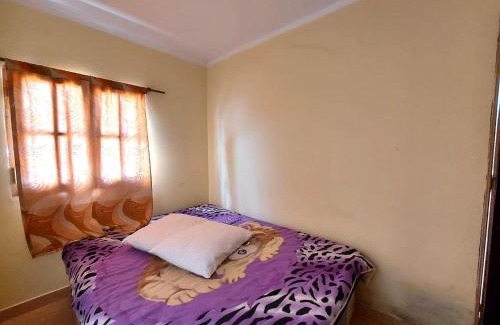 Yala Cabin | Comarca del Hobit