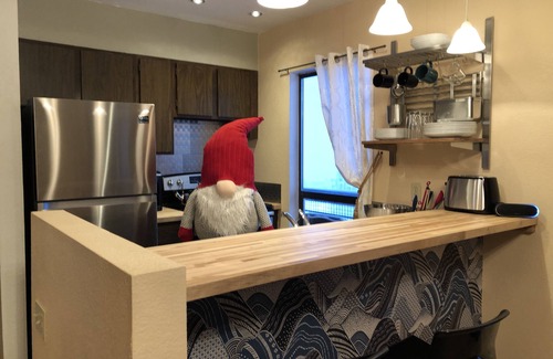 Crested Butte Condo | Come Experience SkiTopia-True Ski In/Out Condo Steps from the SilverQueen Lift