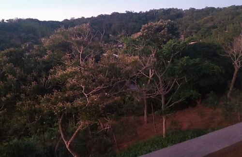 Jose Goncalves Condo | Come rest and have fun in Buzios amid the rainforest near the beach