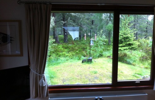Coylumbridge House | Comfortable Secluded Bungalow in Wooded Setting