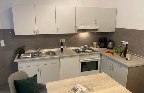 Neualbenreuth Apartment | Comfort apartment with fully equipped kitchen