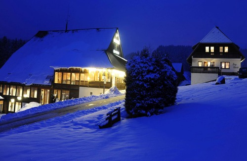 Furtwangen Apartment | Comfort double room with balcony