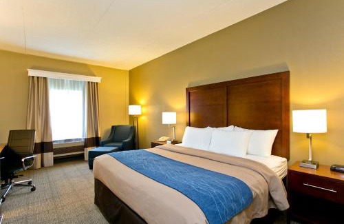 Martinsburg Hotel | Comfort Inn Aikens Center