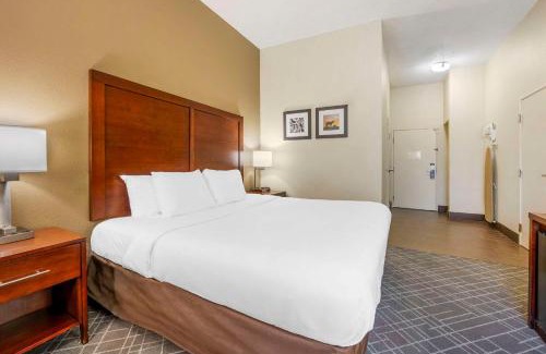 Florence Hotel | Comfort Inn Airport Turfway Road