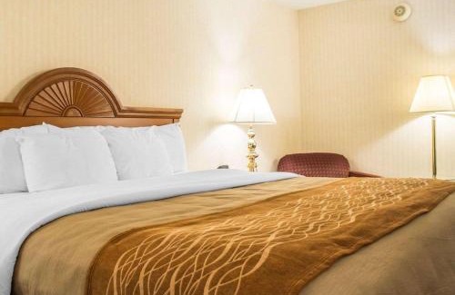 Binghamton Hotel | Comfort Inn Binghamton I-81
