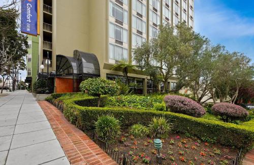 Cow Hollow Hotel | Comfort Inn By the Bay