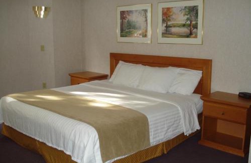 Bracebridge Hotel | Comfort Inn
