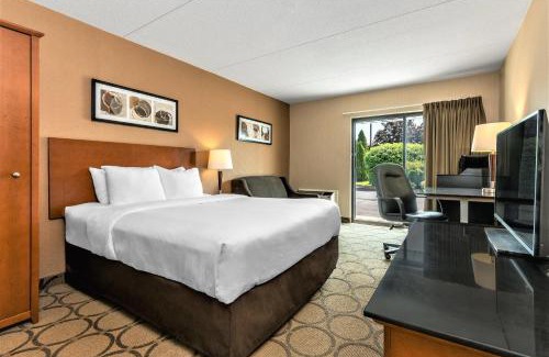 Brandon Hotel | Comfort Inn